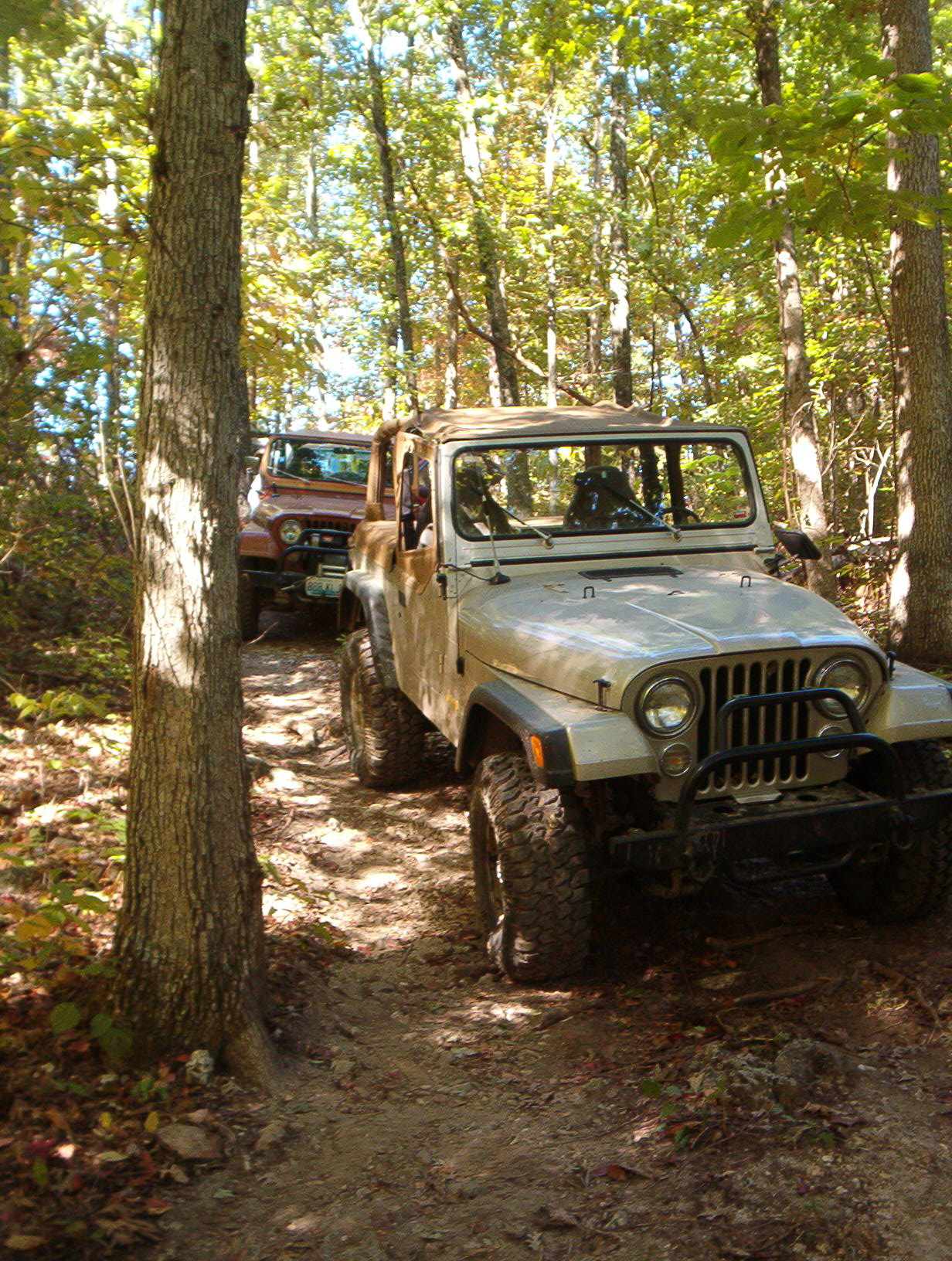 The '83 and The Facade at Sayersbrook Bison Ranch