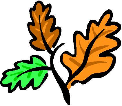 I love nature and research reports on ecology