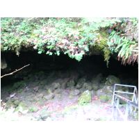 DSCN4176.JPG