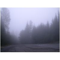 DSCN4191.JPG
