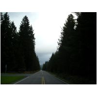 DSCN4208.JPG