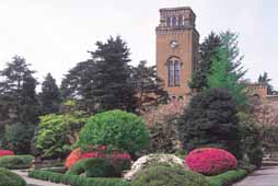 The Library Clock Tower