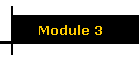Module 3