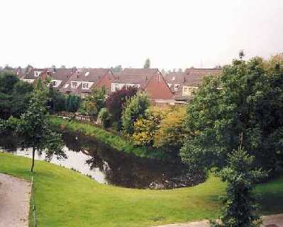 View from bedroom window