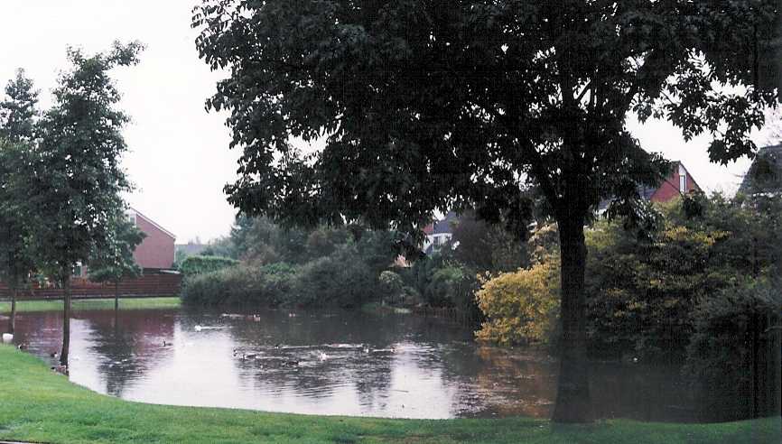 View from livingroom window