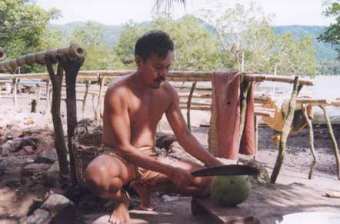 buko.jpg (12696 bytes)