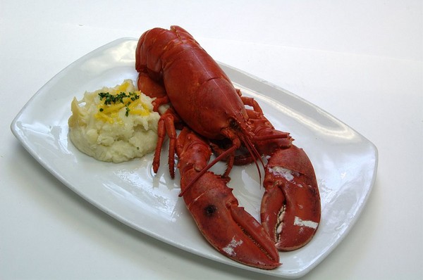 lobster