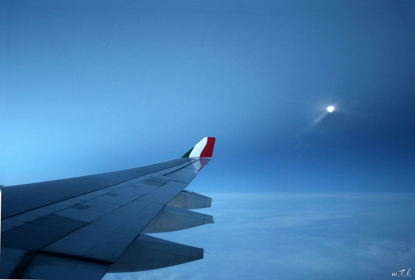 flight
