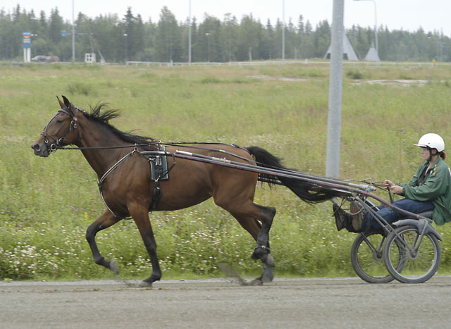 �Ravitalli Kari Alapekkala