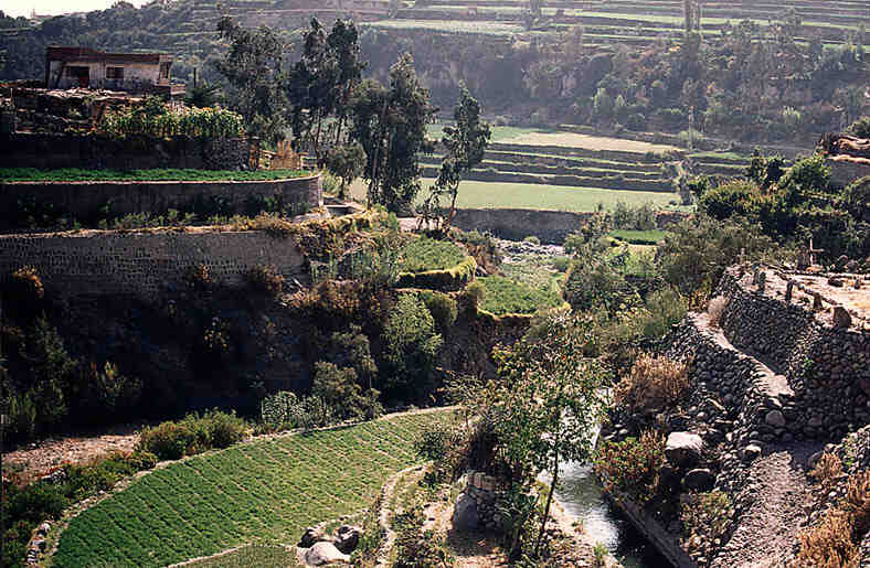 casmpi&ntilde;a arequipe&ntilde;a