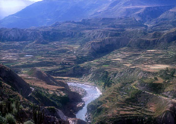Andeneria del Colca