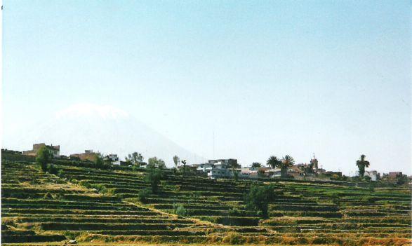 Andenes en Paucarpata