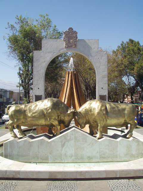 pelea de toros