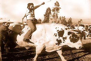 pelea de toros