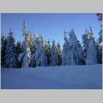 0201Auersberg043.JPG