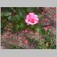 cap2003-05.html