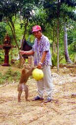my friend