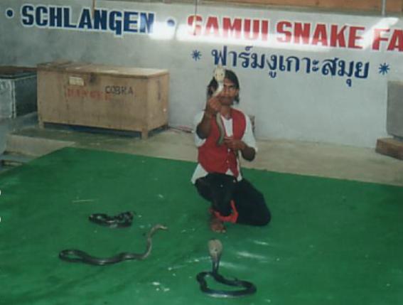 snake show