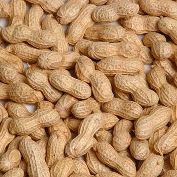 peanut