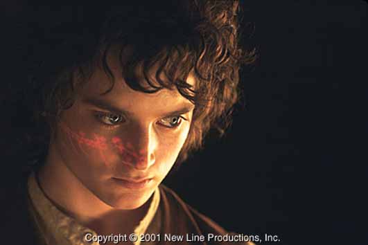 Frodo Baggins