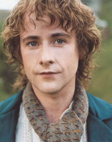 Pippin Took