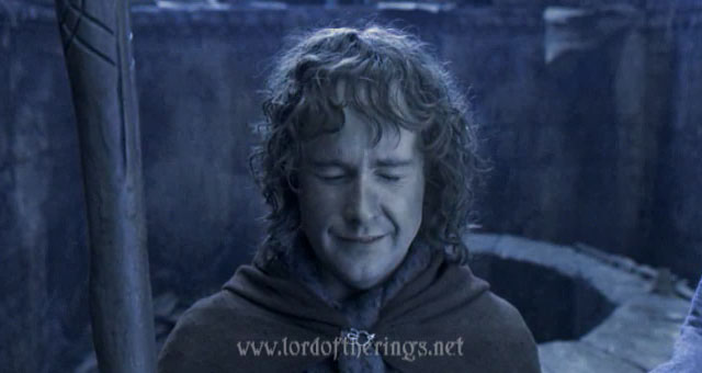 Fool of a Took! (Poor Pippin!)