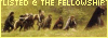 www.geocities.com/lotrlisting/arwen.htm