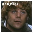 Sam's Bio