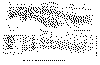 fosi1999.gif (50539 bytes)