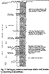 calci2.gif (28635 bytes)