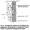 calci4.gif (22211 bytes)