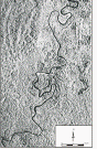 IPA99-FIG02_small.gif (10633 bytes)