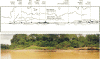 IPA99-FIG06_small.gif (4482 bytes)