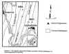 wood1.jpg (41977 bytes)