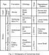wood2.jpg (93043 bytes)