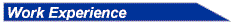 work-experience.gif (1824 bytes)
