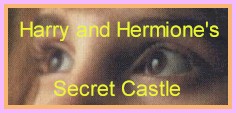 HHSC BANNER #1