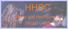 HHSC BANNER #2