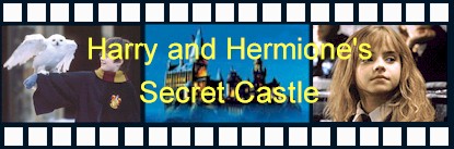 HHSC BANNER #3