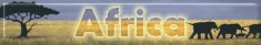 click me to search for your fav. survivor's bio:)