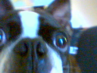 Baby-boo!