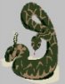 Slytherin