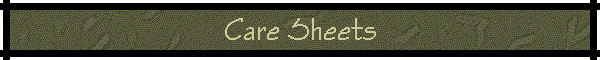 Care Sheets