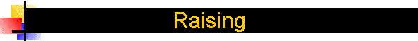 Raising