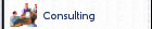 Consulting Services