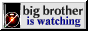 BigBrother is watching