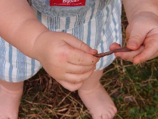 In Case You're Wondering, It's A Worm :-)
