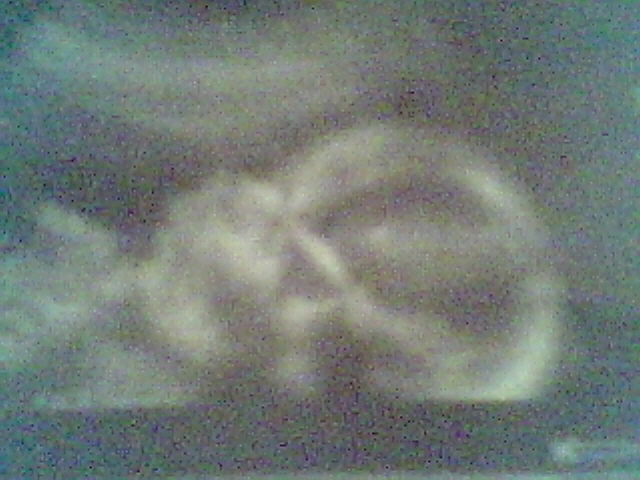 My V-day roses