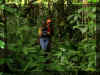 brenda_haydee_selva_w2.jpg (60138 bytes)