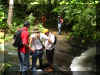 caura_caminata_selva.JPG (313553 bytes)